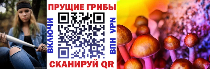 Псилоцибиновые грибы мухоморы мега Ковров